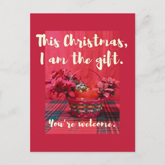 Carte Postale Bébé mignonne Sulcata Tortoise en panier poinsetti (Devant)