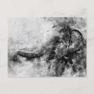 Carte Postale Bébé mou Eléphant Noir et Blanc Aquarelle
