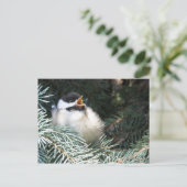 Carte Postale Bébé noir cerné - (Debout devant)