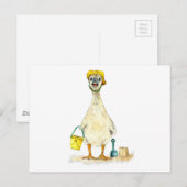 Carte Postale Bébé oison sur la plage (Devant / Derrière)