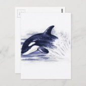 Carte Postale Bébé Orca Jump (Devant / Derrière)