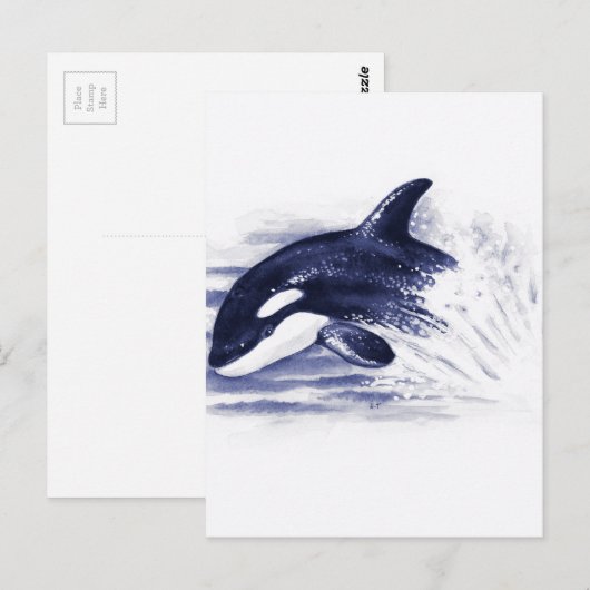 Carte Postale Bébé Orca Jump (Devant / Derrière)