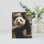 Carte Postale Bébé panda géant Ailuropoda melanoleuca) (Debout devant)