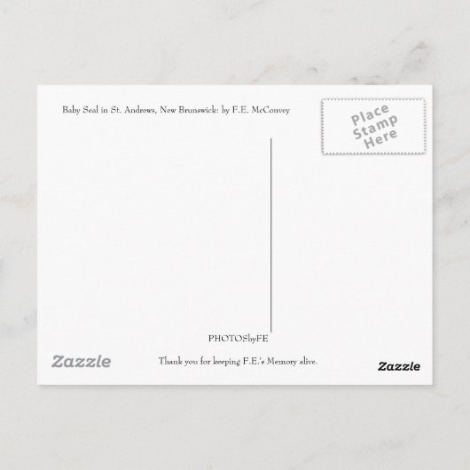 Carte Postale Bébé phoque (Dos)