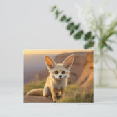 Carte Postale Bébé renard Fennec sur la falaise (Debout devant)