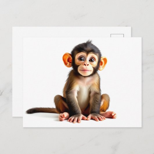 Carte Postale Bébé singe (Devant / Derrière)