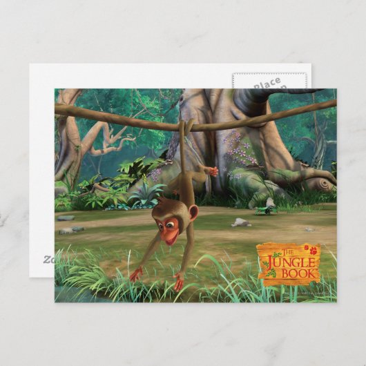 Carte Postale Bébé singe (Devant / Derrière)