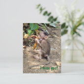 Carte Postale Bébé singe (Debout devant)