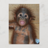 Carte Postale Bébé souriant Orangutan dans Diapers Borneo (Devant)