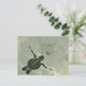 Carte Postale Bébé Tortue De Mer Se Baignant Dans La Mer (Debout devant)