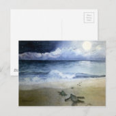 Carte Postale Bébé tortues de mer éclosion à la nuit (Devant / Derrière)