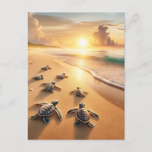 Carte Postale Bébé tortues de mer se dirigeant vers l'océan à la (Devant)