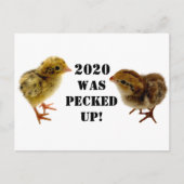 Carte Postale Bébés (Devant)