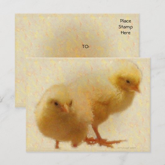 Carte Postale Bébés (Devant / Derrière)