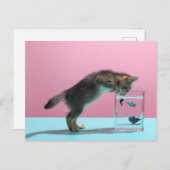 Carte Postale Bébés Animaux les Plus Mignons | Chaton Regardant  (Devant / Derrière)