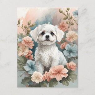 Carte Postale Bébés mignons animaux   Mignonne chiot maltais bla