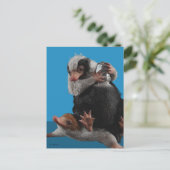 Carte Postale Bébés Nifflers Trouvent Un Prix (Debout devant)