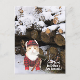 Carte Postale Bécasseau de chat amusant