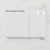 Carte Postale Bécasseau noir (Dos)