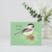 Carte Postale Bécasseau noir - Oiseau - Nature (Debout devant)