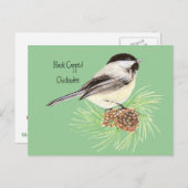 Carte Postale Bécasseau noir - Oiseau - Nature (Devant / Derrière)