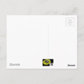 Carte Postale Bécasseau noir - Songbird (Dos)