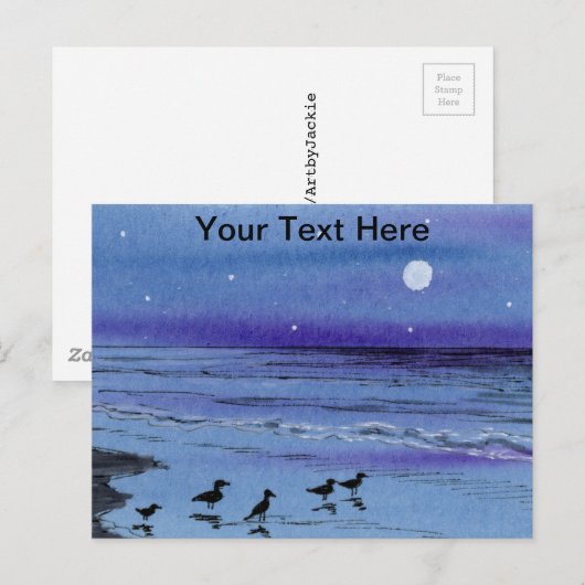 Carte Postale Bécasseaux (Devant / Derrière)