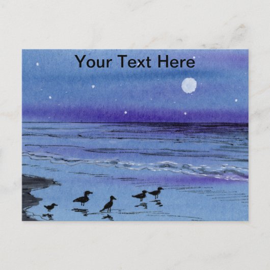 Carte Postale Bécasseaux (Devant)