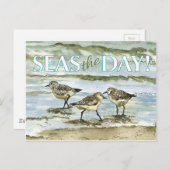 Carte Postale Bécasseaux oiseaux plage aquarelle (Devant / Derrière)