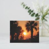 CARTE POSTALE BECKYS PALMIERS 4-2-02 (Debout devant)