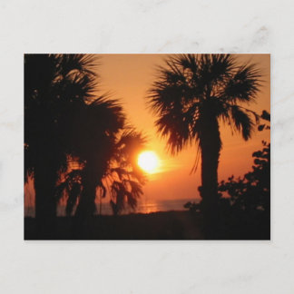 CARTE POSTALE BECKYS PALMIERS 4-2-02