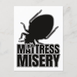Carte Postale Bed Bug Bed Bedbugs - Geek d'Entomologie