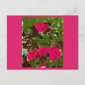 Carte Postale Bed of Roses  (Devant)