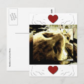 Carte Postale "Bedfellows" par Suan S'Katra (Devant / Derrière)