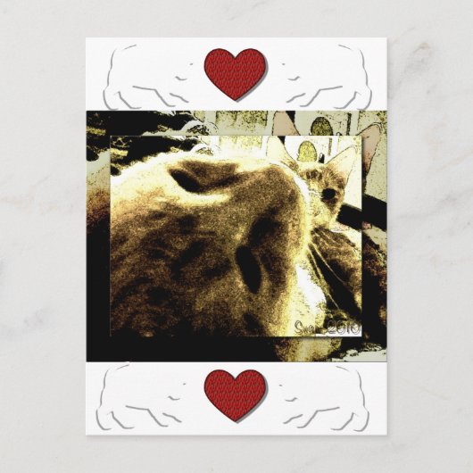 Carte Postale "Bedfellows" par Suan S'Katra (Devant)