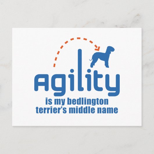 Carte Postale Bedlington Terrier (Devant)