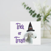 Carte Postale Bedlington Terrier Trick (Debout devant)