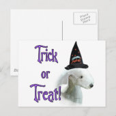 Carte Postale Bedlington Terrier Trick (Devant / Derrière)