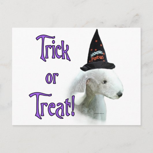 Carte Postale Bedlington Terrier Trick (Devant)
