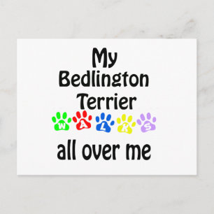 Carte Postale Bedlington Terrier Walks Design
