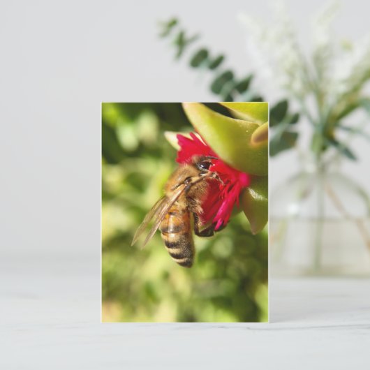 CARTE POSTALE BEE (Debout devant)