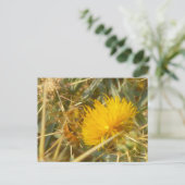 Carte Postale Bee and Star Thistle (Centaurea solstitialis) (Debout devant)