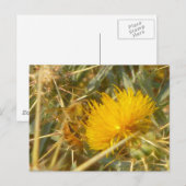 Carte Postale Bee and Star Thistle (Centaurea solstitialis) (Devant / Derrière)