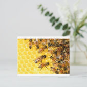 Carte Postale Bee Bees Hive Miel Comb Sweet Dessert Jaune (Debout devant)