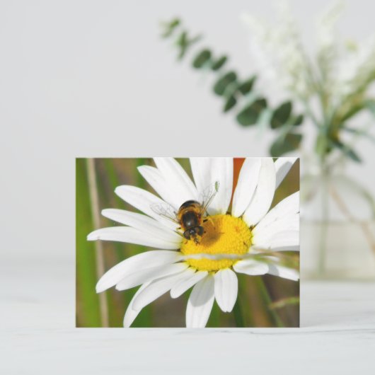 Carte postale Bee & Daisy (Debout devant)