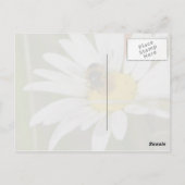 Carte postale Bee & Daisy (Dos)