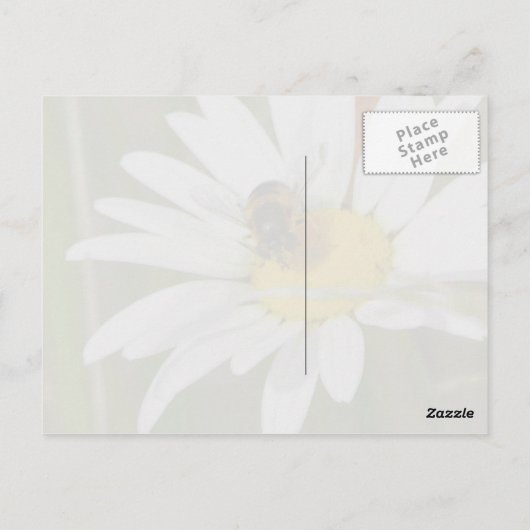 Carte postale Bee & Daisy (Dos)