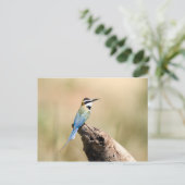 Carte Postale Bee-eater (Debout devant)