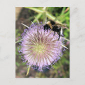 CARTE POSTALE BEE ET FLEURS (Devant)