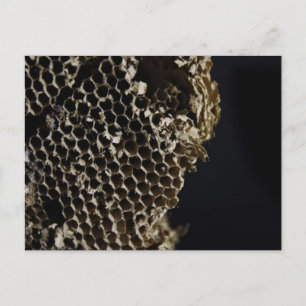 Carte Postale Bee Hive